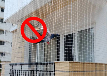 Pigeon Safety Net